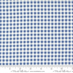 Blueberry Delight - Blueberry Gingham