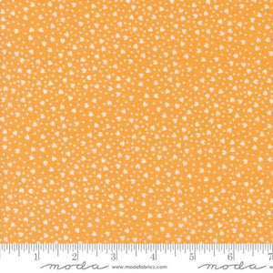 Shine - Orangesicle Hearts