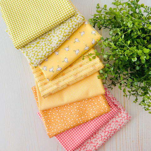 Shine Bundle