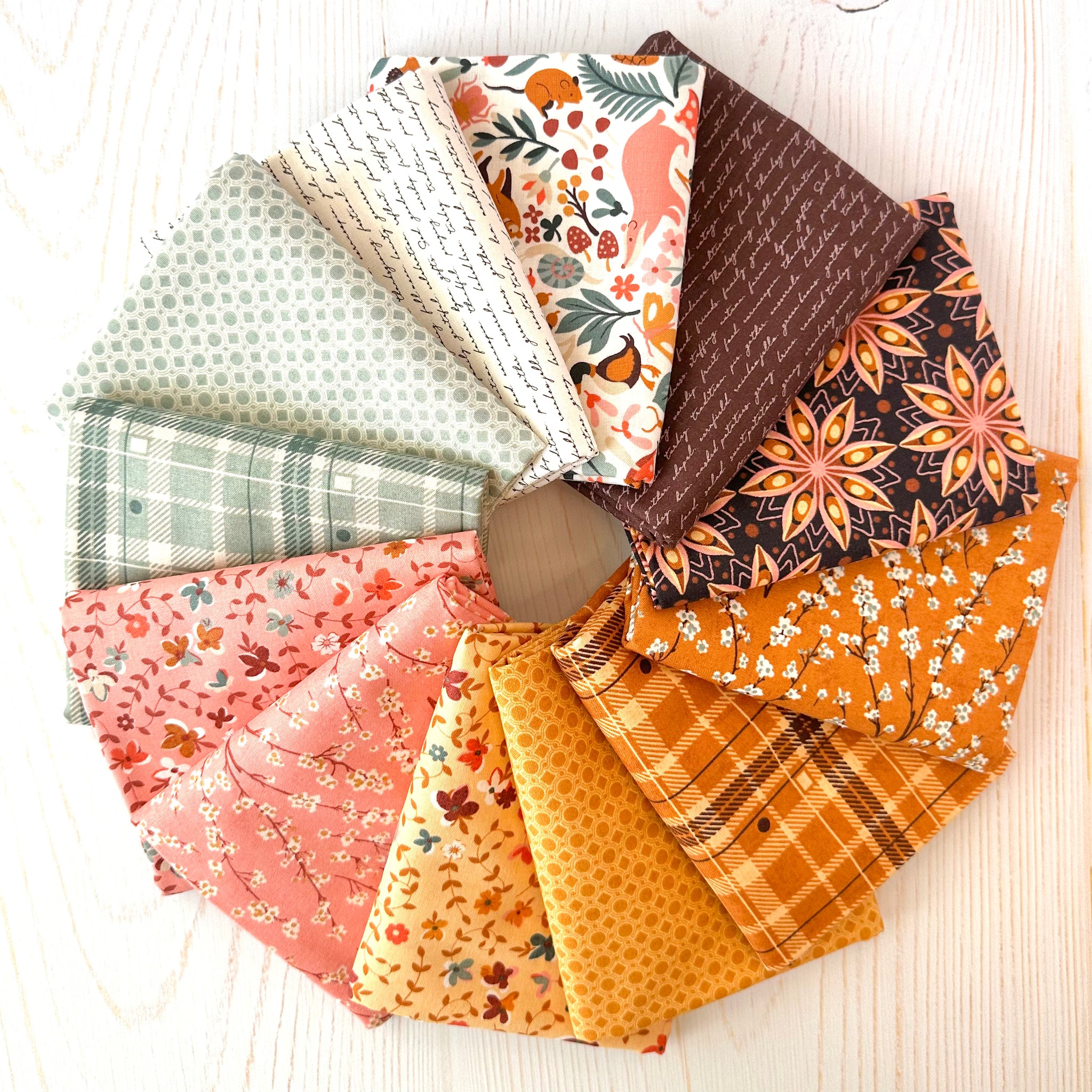 Acorn Hollow Bundle