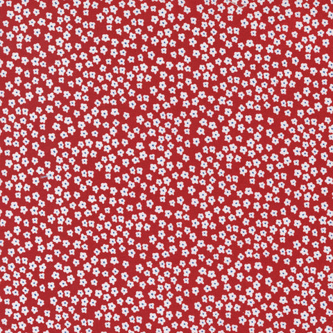 Graze - Red Blooms