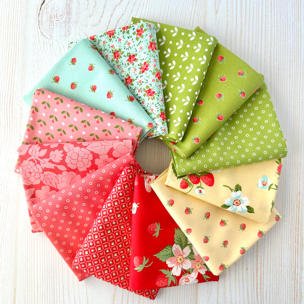 Bloomsberry Bundle