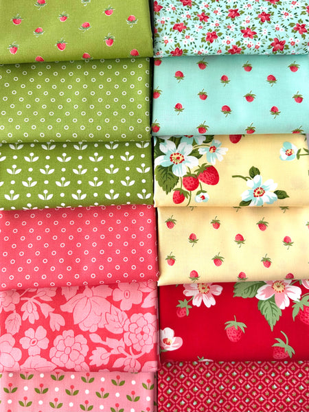 Bloomsberry Bundle