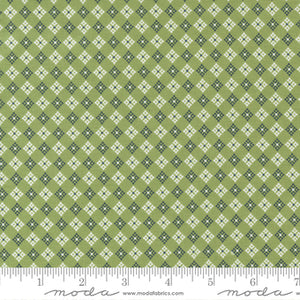 Graze - Meadow Blue Ribbon
